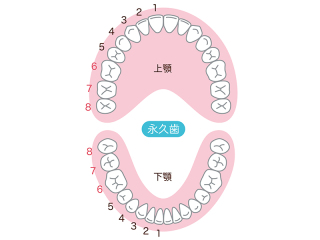 親知らずは抜歯するべき？